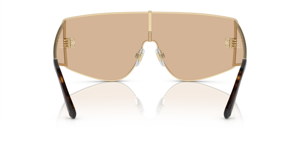 Dolce & Gabbana DG2305 13655A