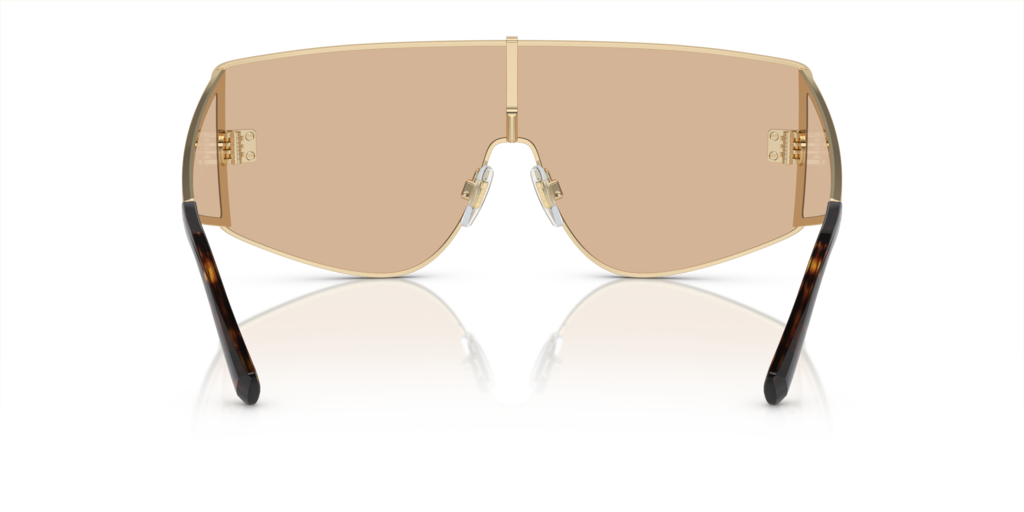 Dolce & Gabbana DG2305 13655A