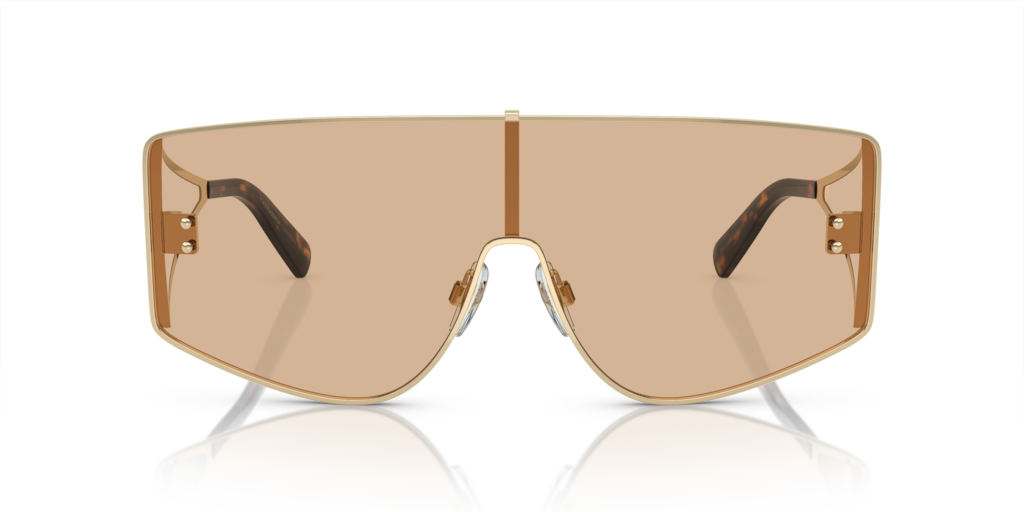 Dolce & Gabbana DG2305 13655A