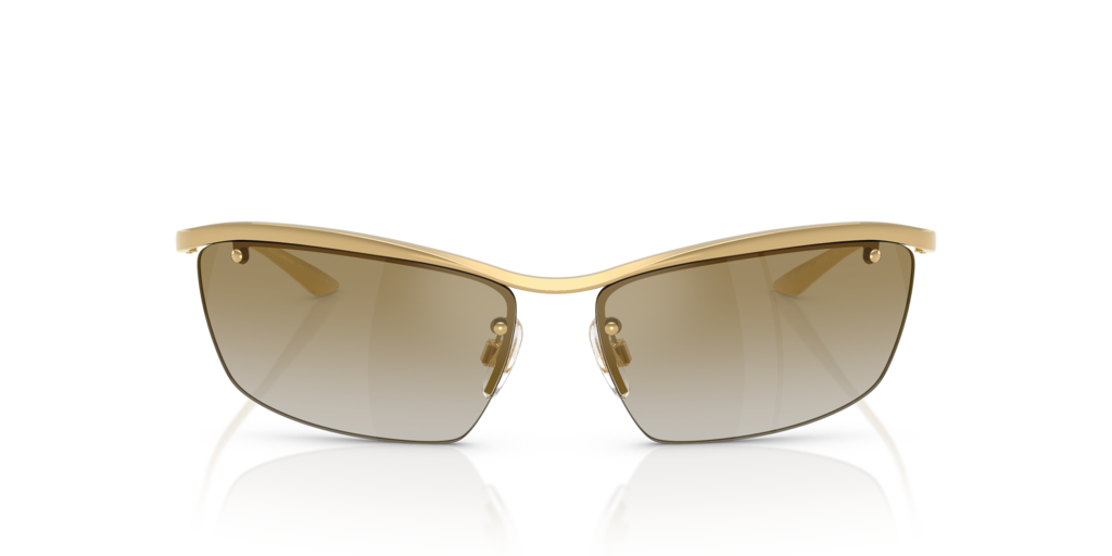 Dolce & Gabbana DG2307 02/6E