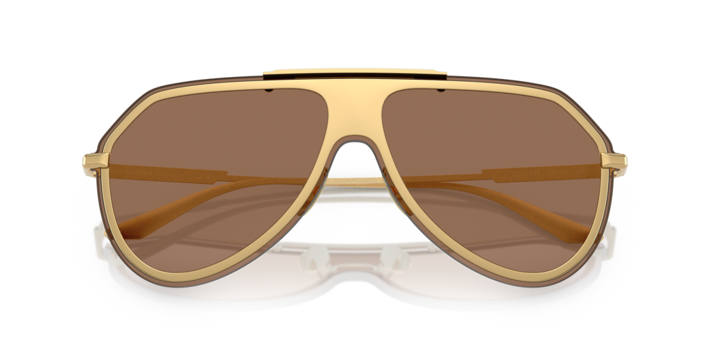 Dolce & Gabbana DG2309 02/73