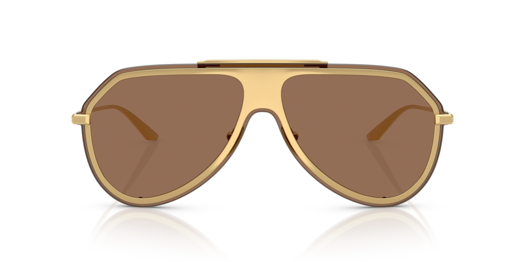 Dolce & Gabbana DG2309 02/73