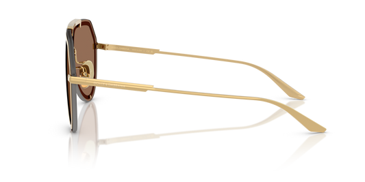 Dolce & Gabbana DG2309 02/73