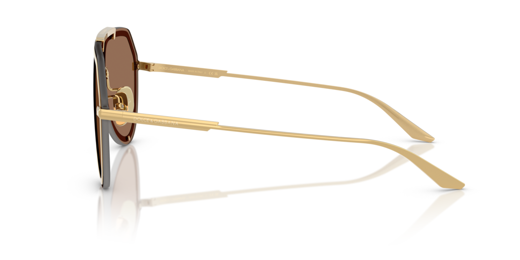 Dolce & Gabbana DG2309 02/73 43 Güneş Gözlükleri