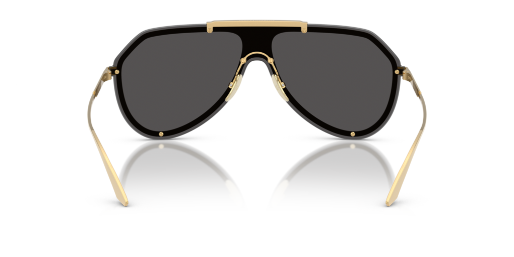 Dolce & Gabbana DG2309 02/87 43 Güneş Gözlükleri