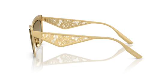 Dolce & Gabbana DG2311 12246E