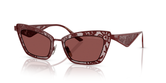 DG2311