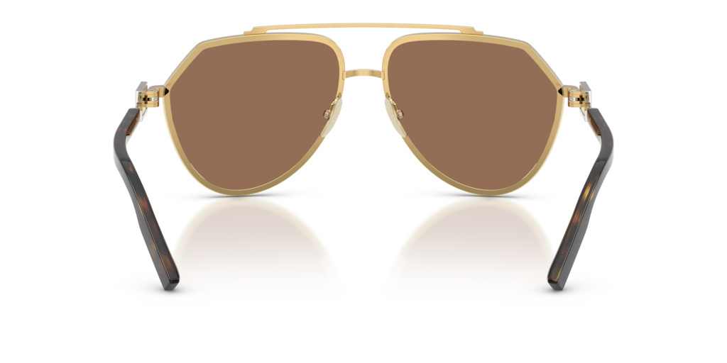 Dolce & Gabbana DG2315 02/73
