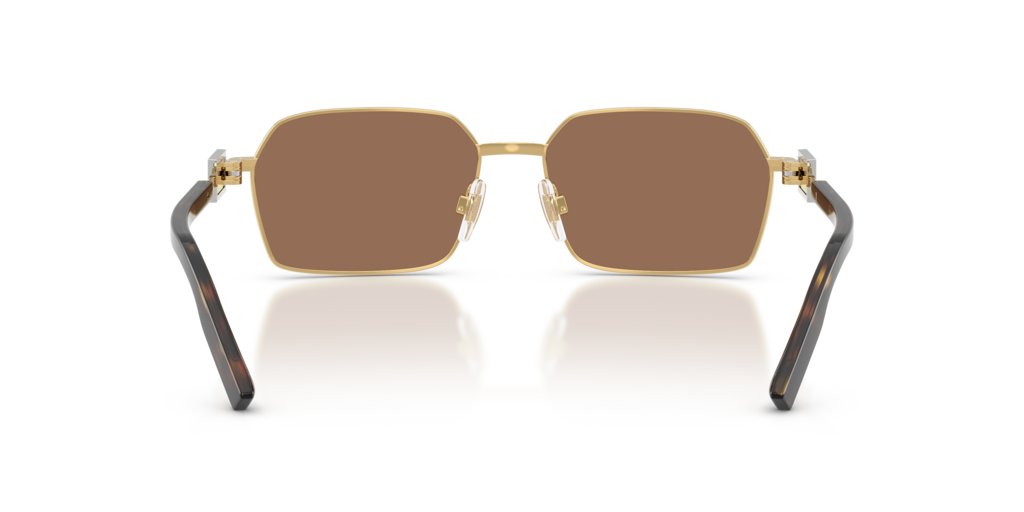 Dolce & Gabbana DG2316 02/73