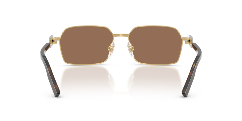 Dolce & Gabbana DG2316 02/73