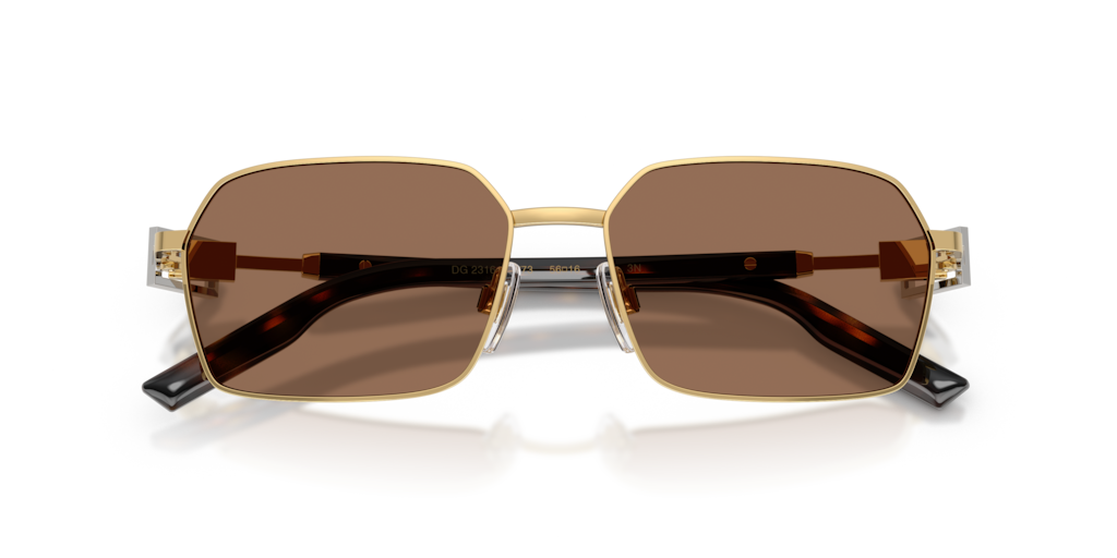 Dolce & Gabbana DG2316 02/73