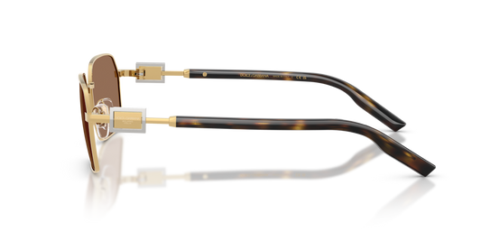 Dolce & Gabbana DG2316 02/73