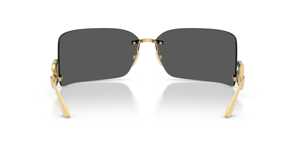 Dolce & Gabbana DG2319 02/87