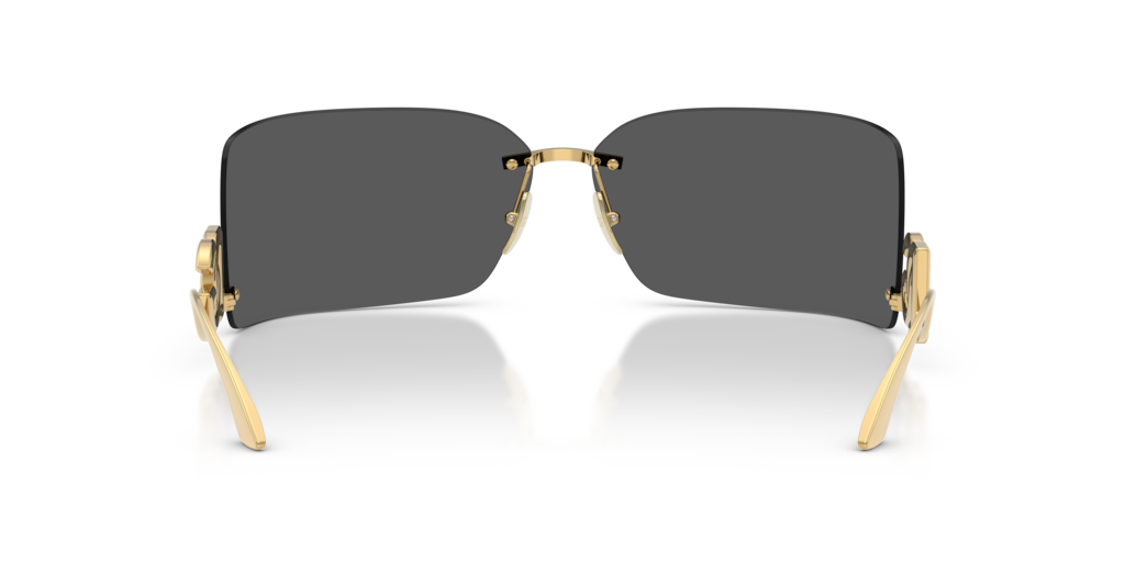 Dolce & Gabbana DG2319 02/87