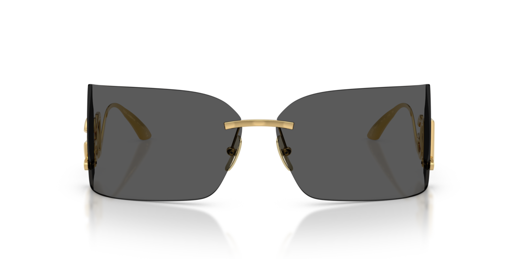 Dolce & Gabbana DG2319 02/87