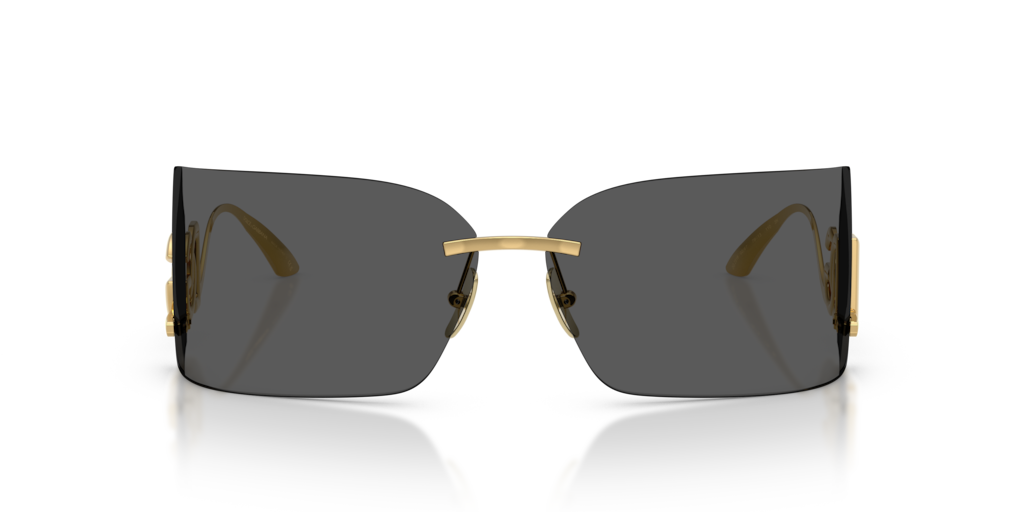 Dolce & Gabbana DG2319 02/87