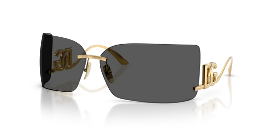 Dolce & Gabbana DG2319 02/87