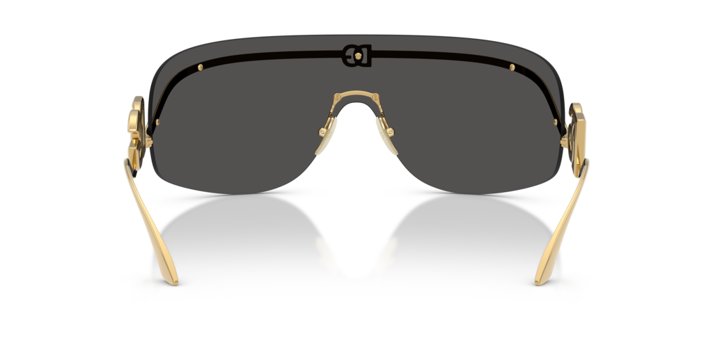 Dolce & Gabbana DG2320 02/87