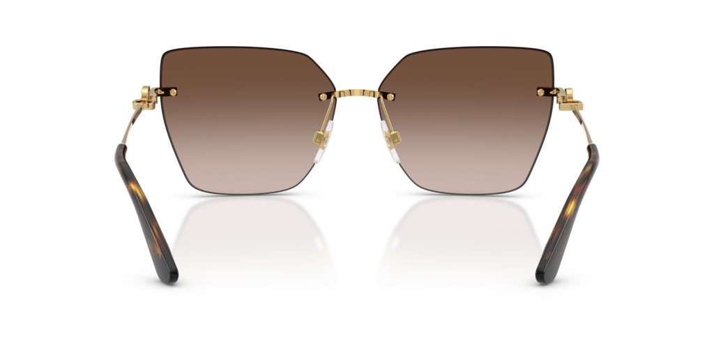 Dolce & Gabbana DG2321 02/13