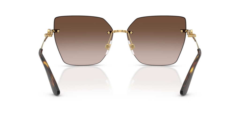 Dolce & Gabbana DG2321 02/13