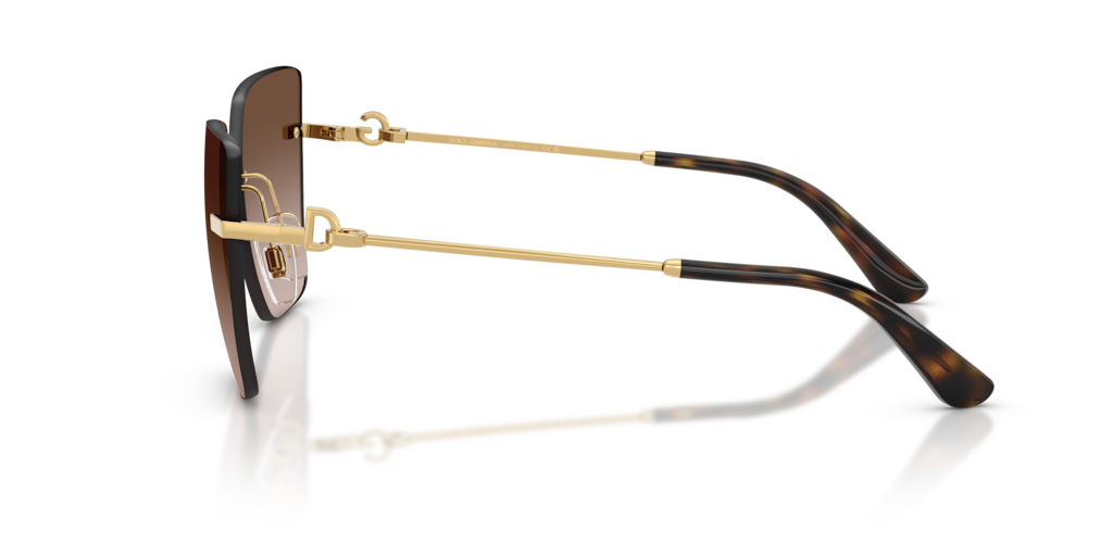 Dolce & Gabbana DG2321 02/13