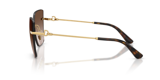 Dolce & Gabbana DG2321 02/13