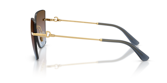 Dolce & Gabbana DG2321 02/48