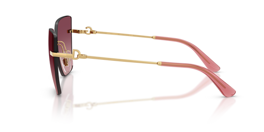 Dolce & Gabbana DG2321