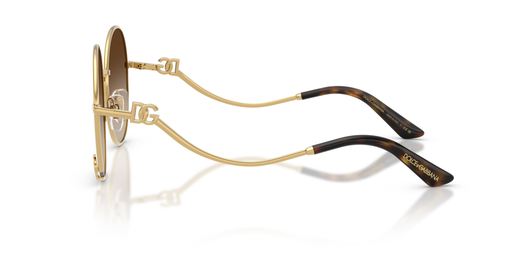 Dolce & Gabbana DG2324 02/13