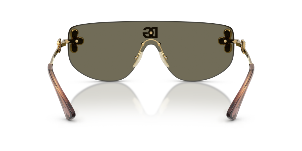 Dolce & Gabbana DG2333B 02/03