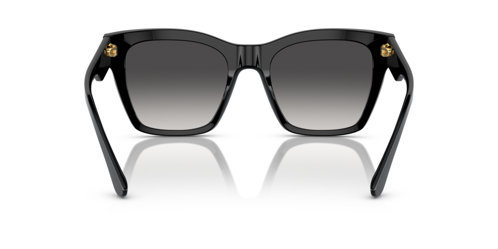 Dolce & Gabbana DG4384 501/8G