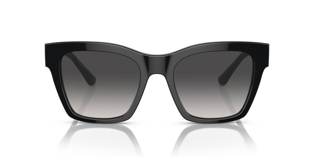 Dolce & Gabbana DG4384 501/8G