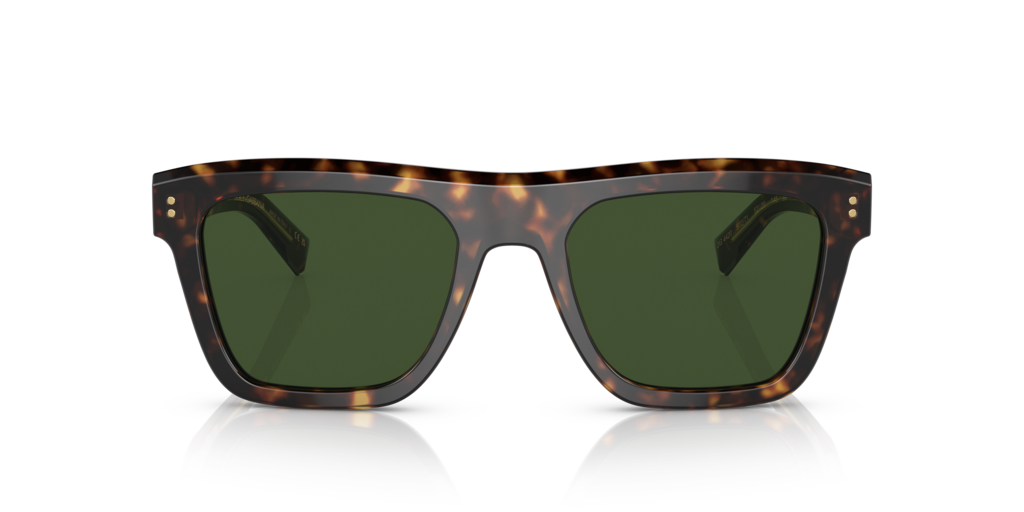 Dolce & Gabbana DG4420 502/71