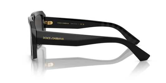 Dolce & Gabbana DG4430 501/87