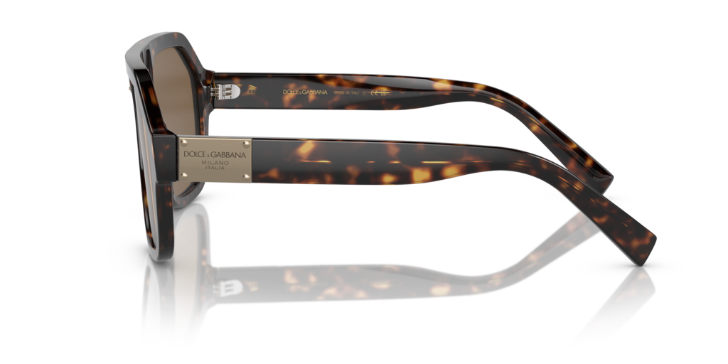 Dolce & Gabbana DG4433 502/73