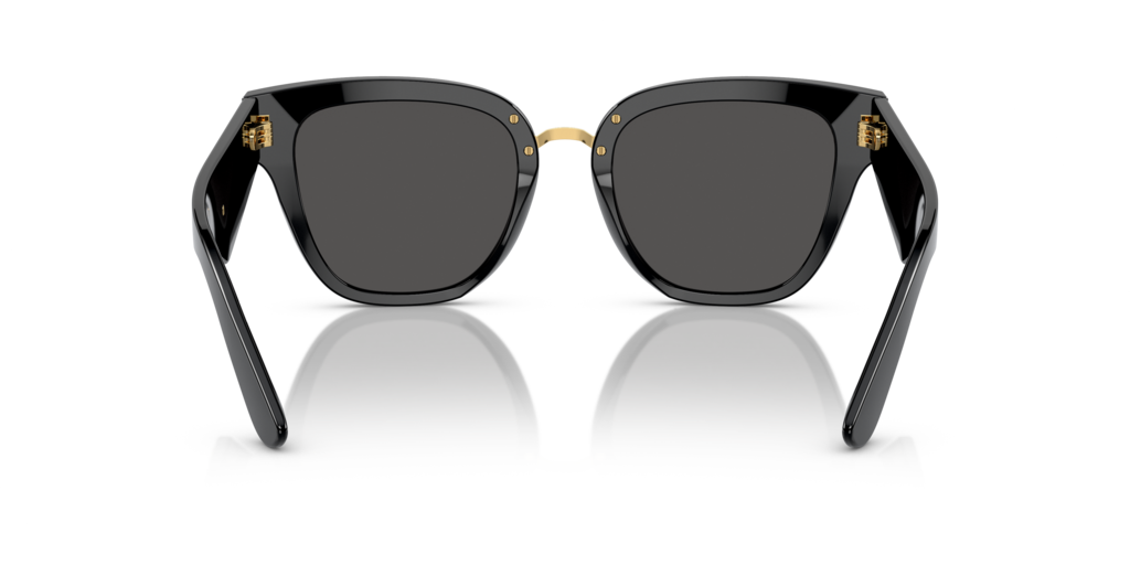 Dolce & Gabbana DG4437 501/87 51 Güneş Gözlükleri