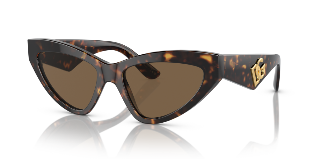 Dolce & Gabbana DG4439 502/73 55 Güneş Gözlükleri