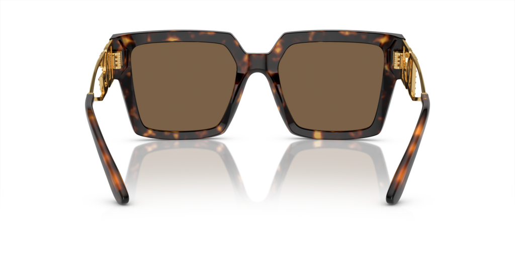 Dolce & Gabbana DG4446B 502/73