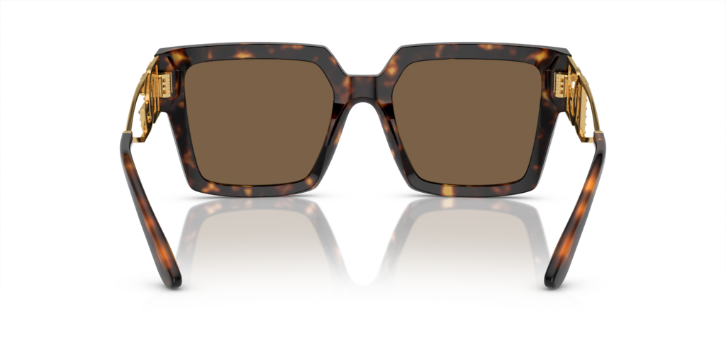 Dolce & Gabbana DG4446B 502/73