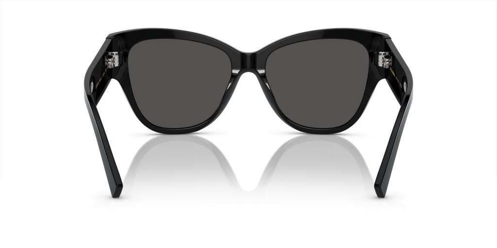 Dolce & Gabbana DG4449 501/87