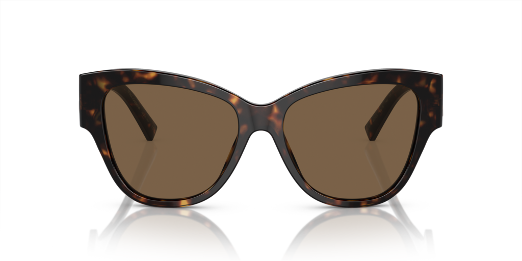 Dolce & Gabbana DG4449 502/73