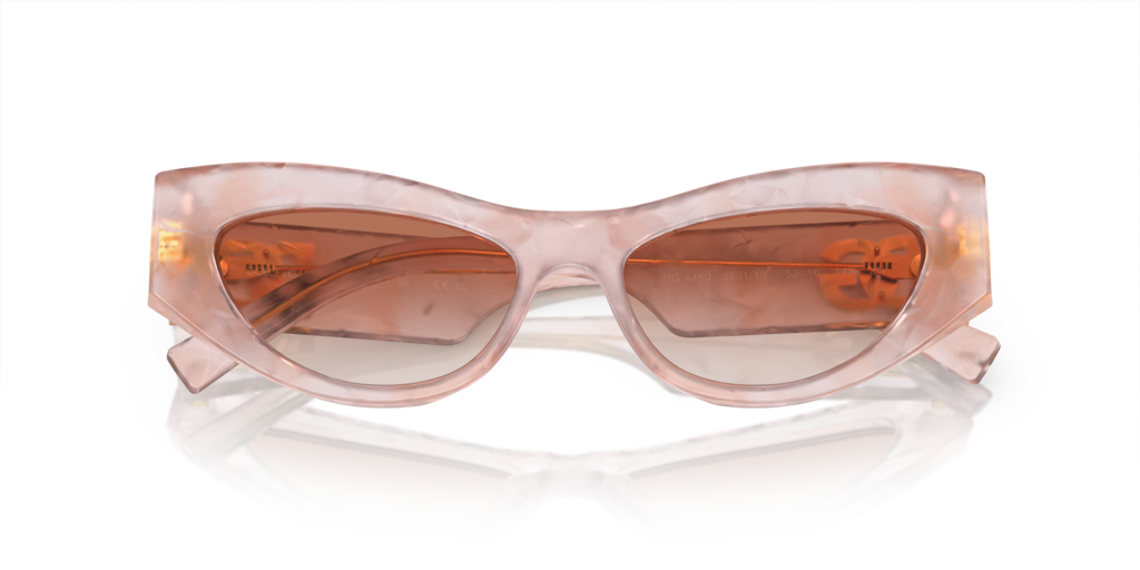 Dolce & Gabbana DG4450 323113