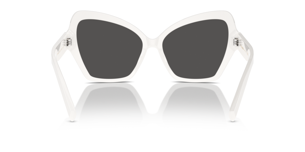 Dolce & Gabbana DG4463 331287