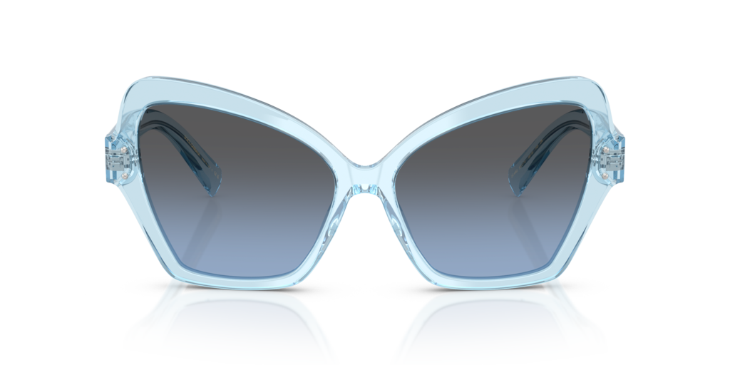 Dolce & Gabbana DG4463 33227C