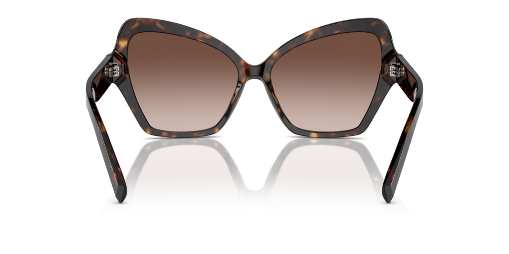 Dolce & Gabbana DG4463 502/13