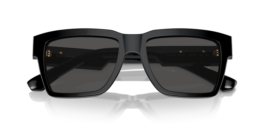 Dolce & Gabbana DG4465 501/87