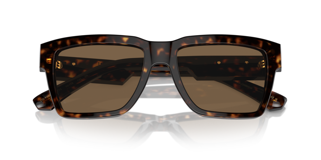 Dolce & Gabbana DG4465 502/73