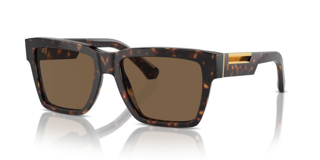 Dolce & Gabbana DG4465 502/73 55 Güneş Gözlükleri