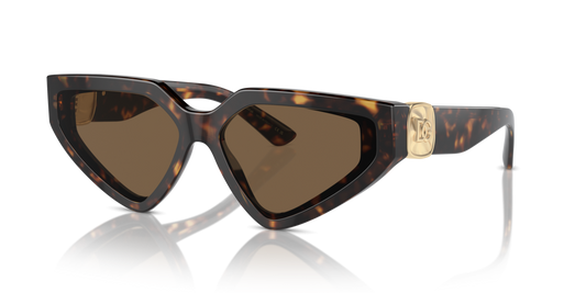Dolce & Gabbana DG4469 502/73 - 59 - Güneş Gözlükleri