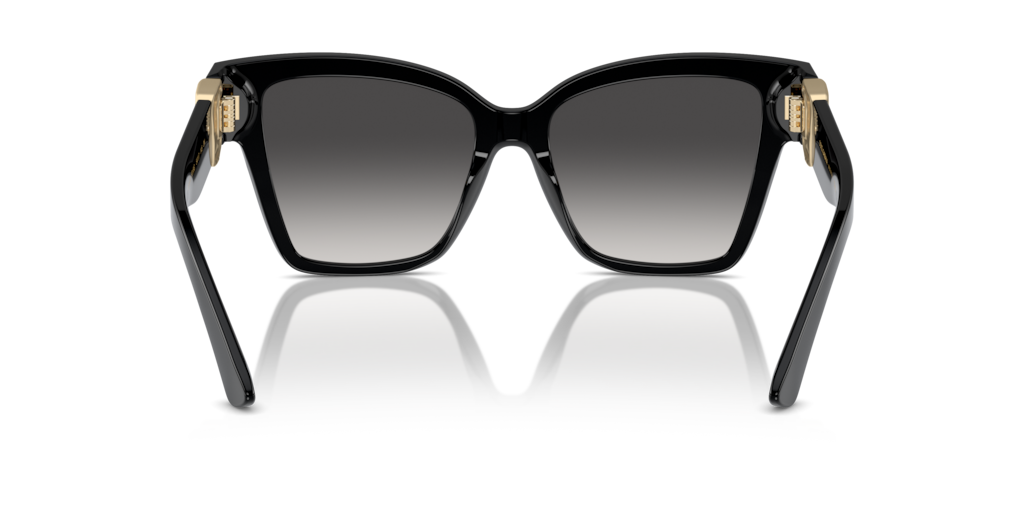 Dolce & Gabbana DG4470 501/8G